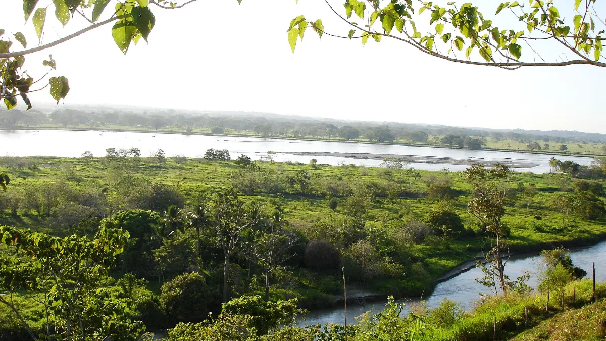 El río Cauca serpentea entre la vegetación y las llanuras